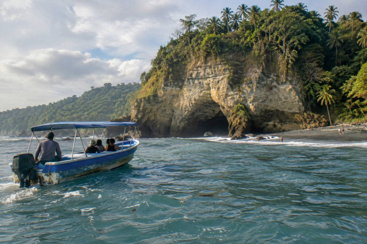 Marino Ballena National Park: Watching Whales and Dolphins