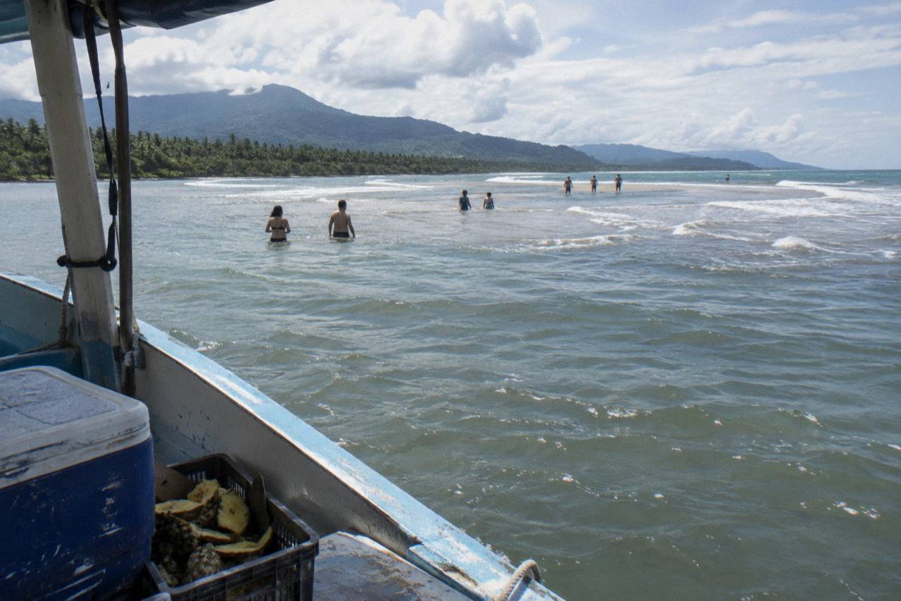 Marino Ballena National Park: Whale Watching Boat Tour
