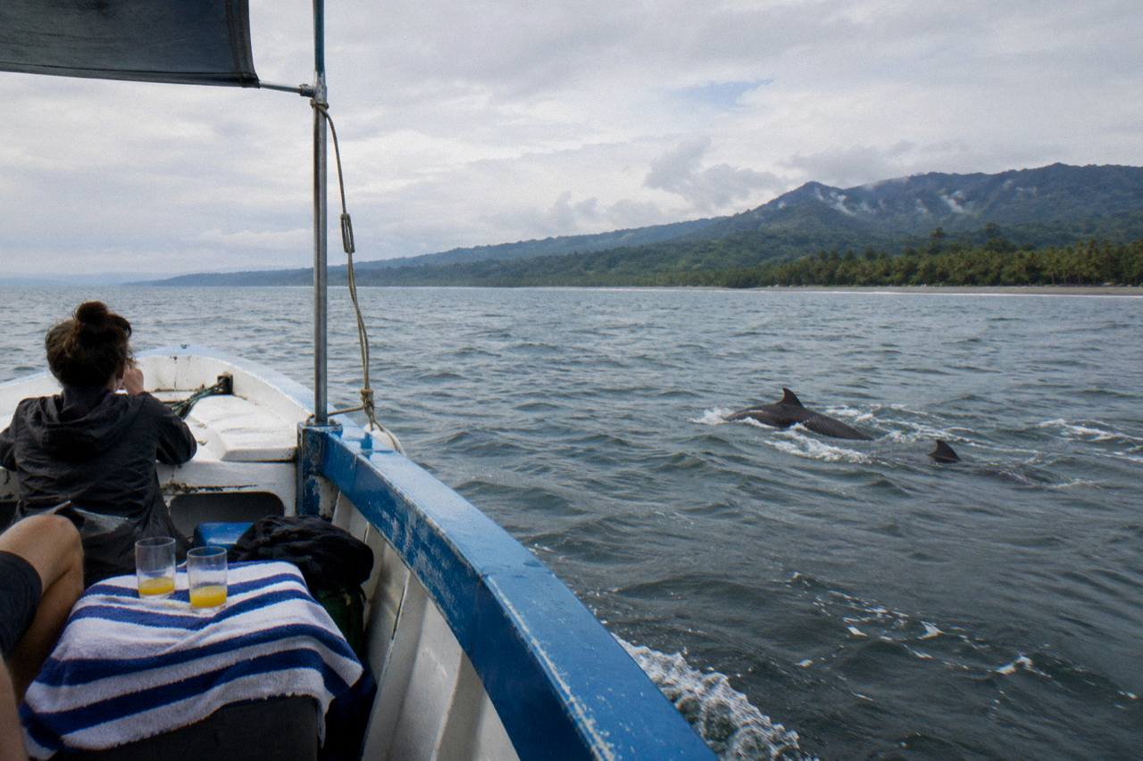 Uvita: Private Marino Ballena Boat Cruise with Whales & Dolphins