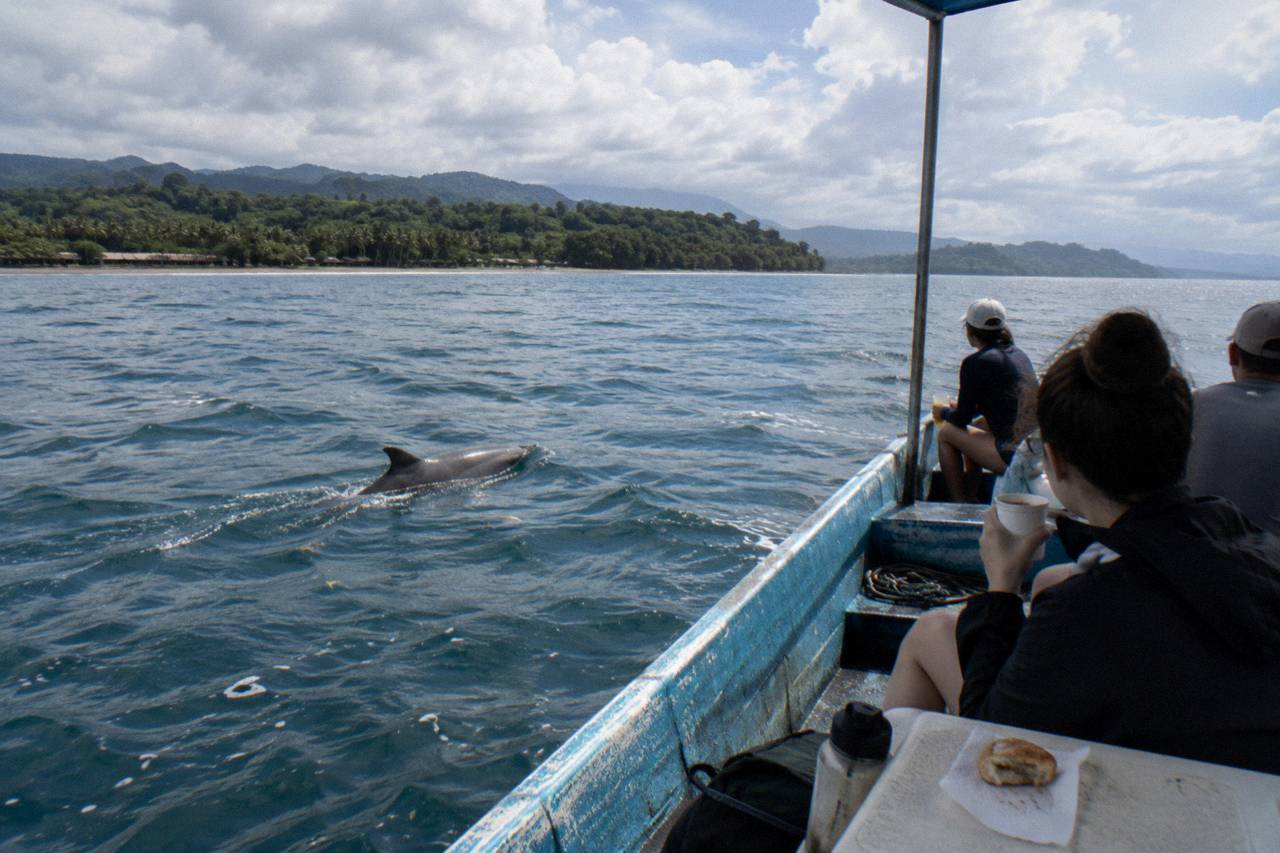 Uvita: Whale & Dolphin Watching Boat Trip w/ Drinks & Snacks