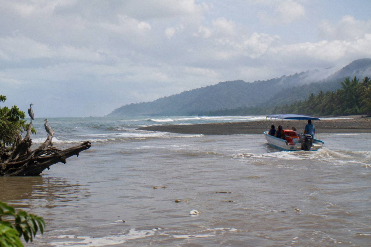 Uvita: Whale Watching Tour in Marino Ballena National Park
