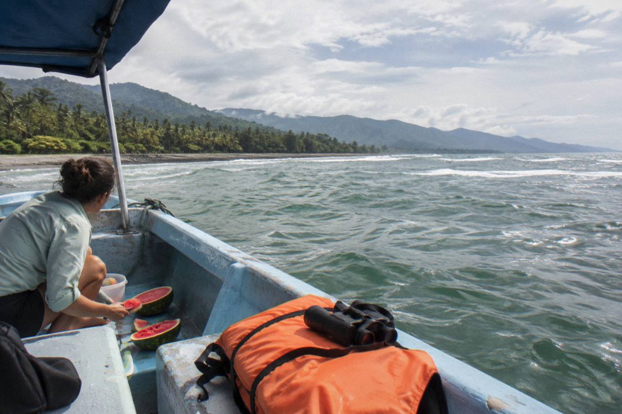 Whales Watching Adventure in Uvita with Expert Guides