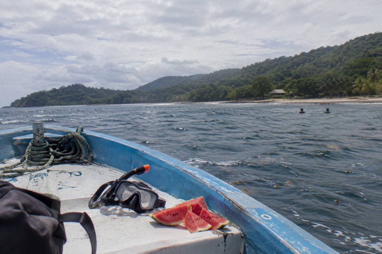 Combo Tour Marino Ballena National Park