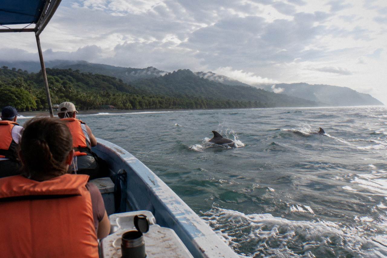 Uvita: Whales & Dolphins Watching -Marino Ballena Park Costa Rica