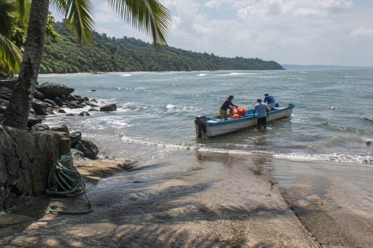 Whale watching Combo Tour Marino Ballena National Park (mid day)