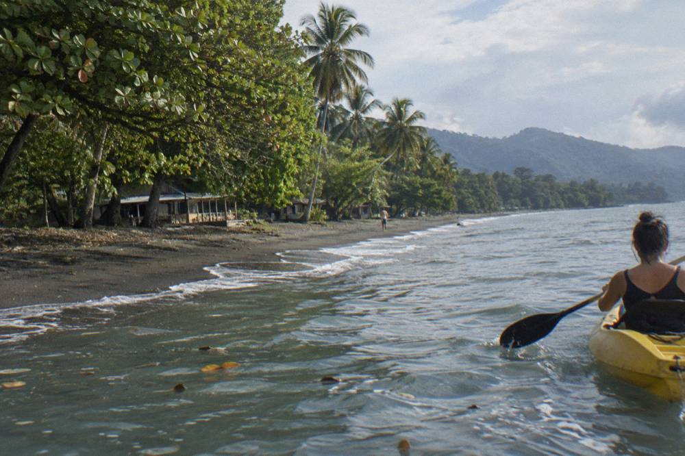 A kayaker paddling along a quiet Pacific shoreline away from whale areas