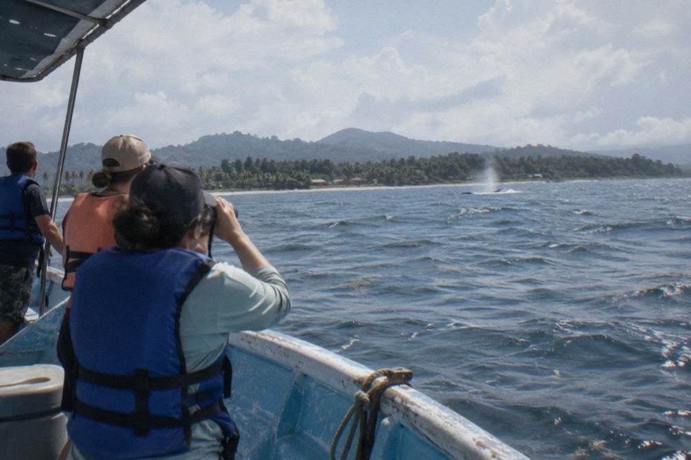 Passengers on a boat watching a whale blow in the distance under a wide sky