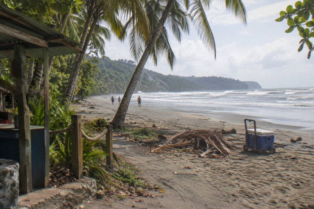 Palm trees leaning over an empty tropical beach at the edge of a national park