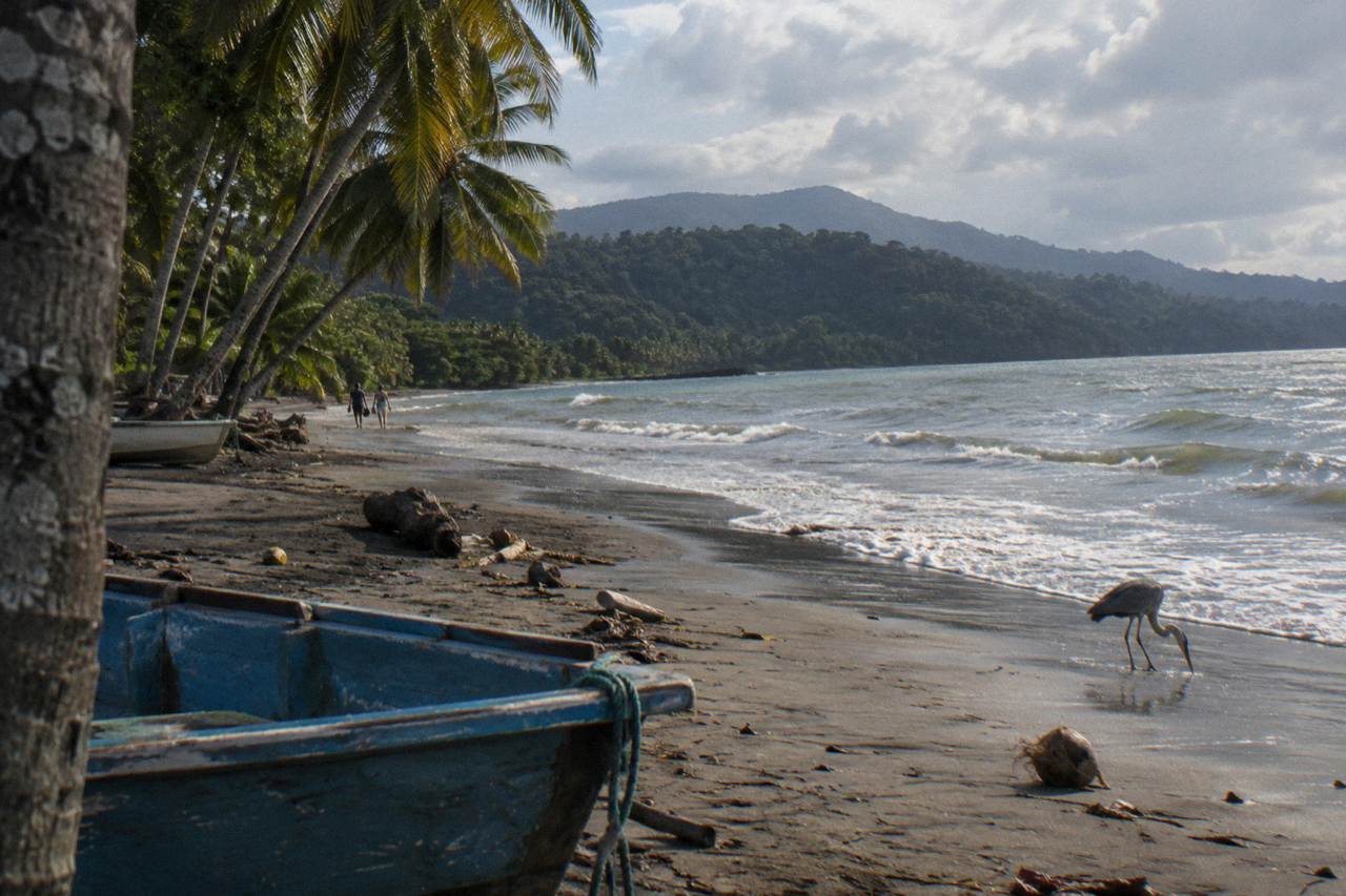 Palm trees along a calm Pacific beach with forested hills in the background