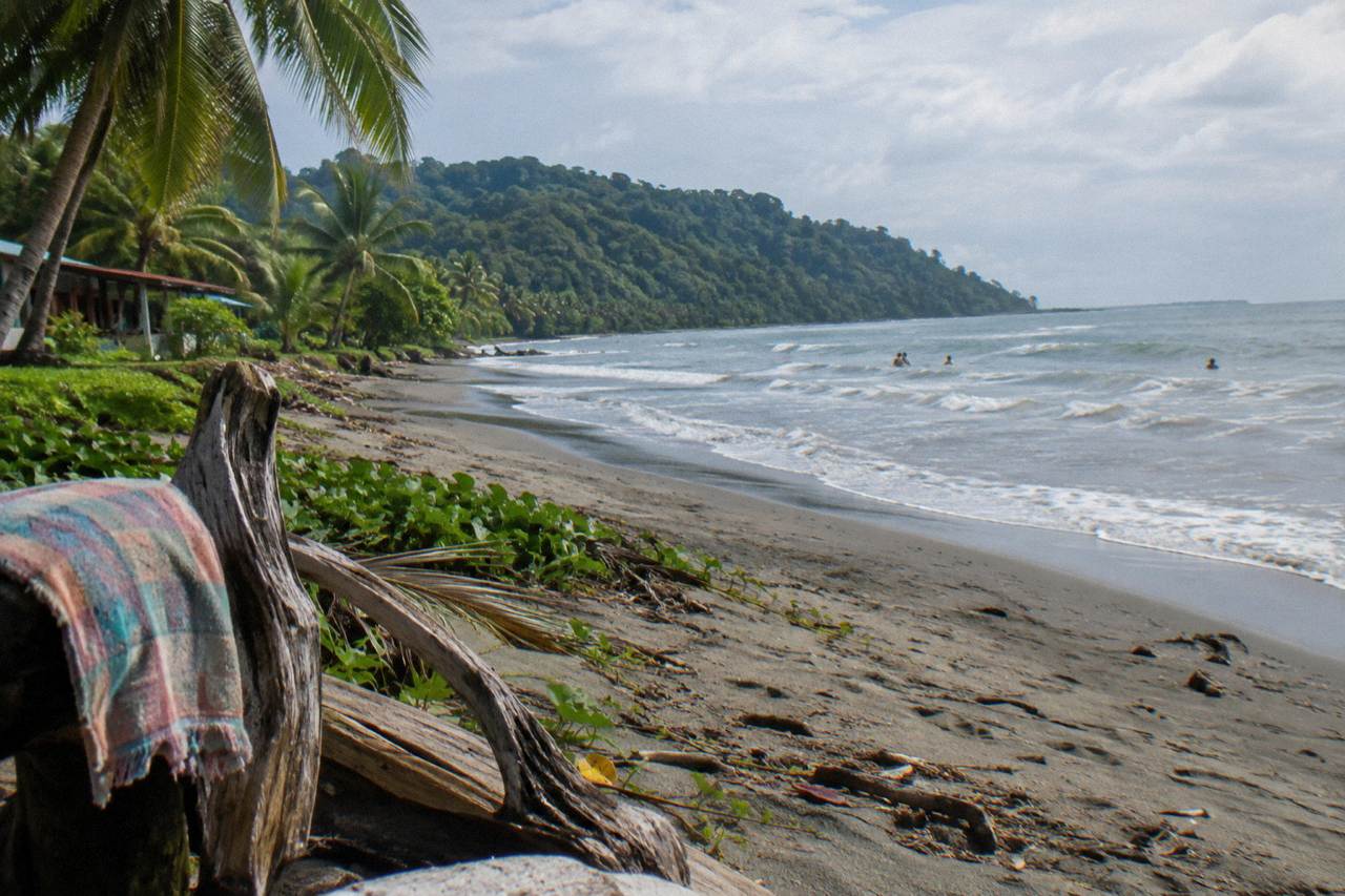 Gentle surf on a gray-sand beach with a forested headland and distant swimmers