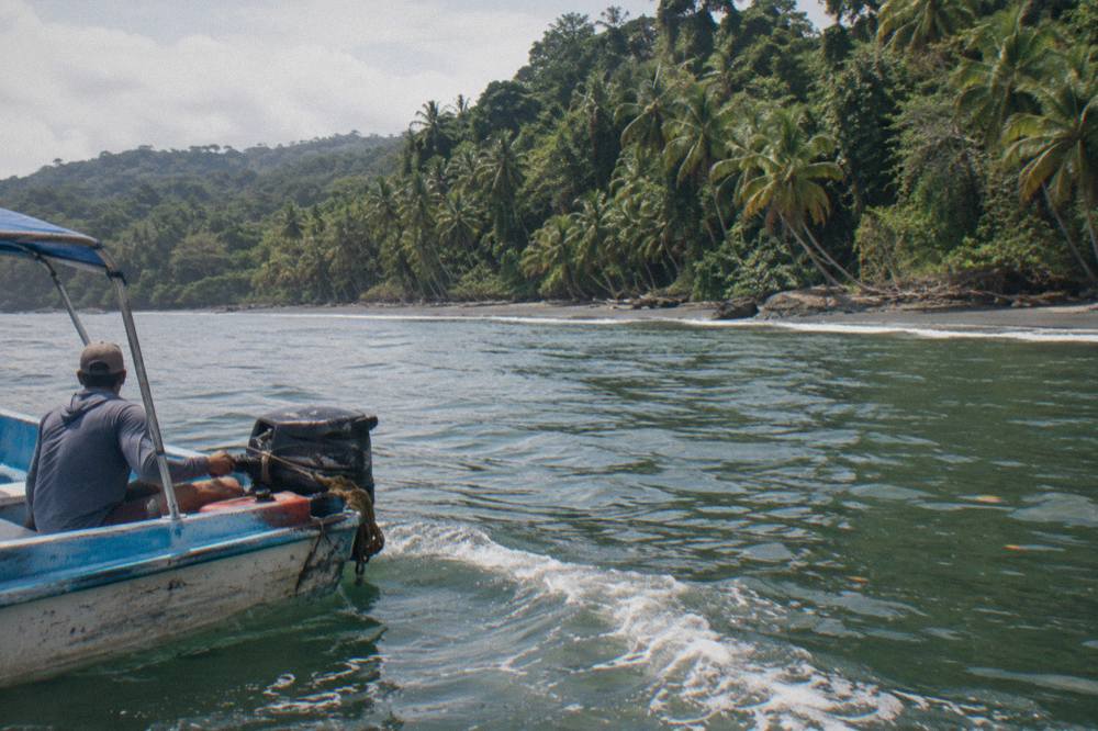 A small boat cruising over calm green water near a forested shoreline
