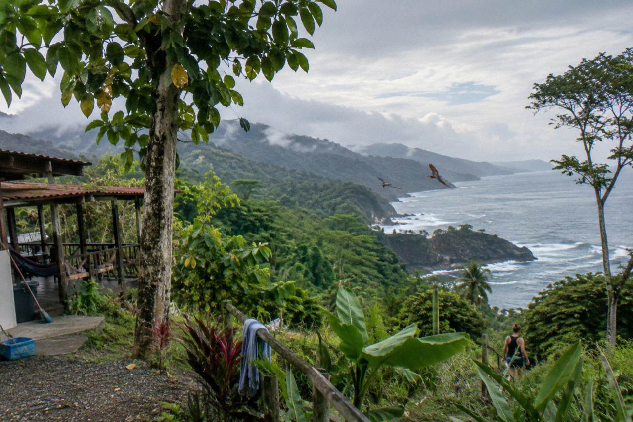 Forested peninsula hills meeting the Pacific ocean along a wild coastline