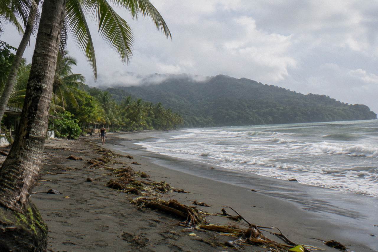 Palm trees along a wide empty beach with forested hills behind under a cloudy sky