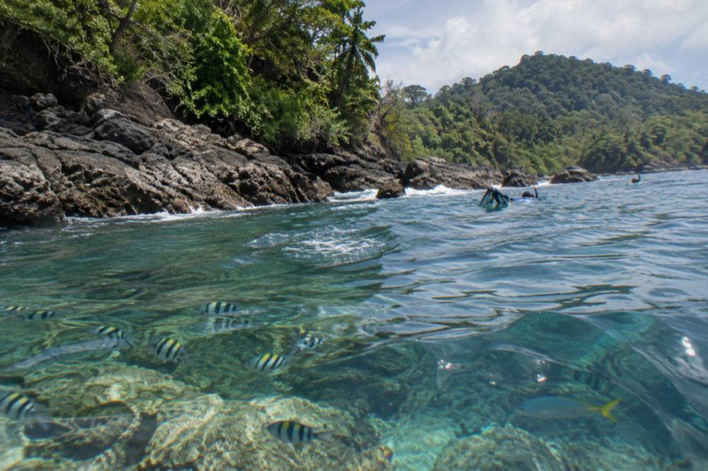 Clear shallow water over a coral reef with tropical fish near a rocky island shoreline