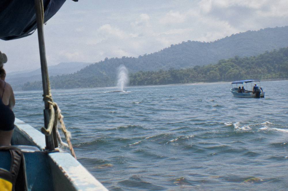A small tour boat holding position at a distance from a whale blow on the Pacific
