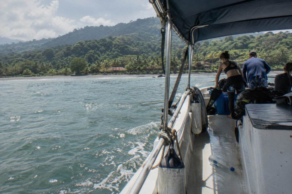 A tour boat returning toward the palm-lined beach at Bahía Ballena at midday