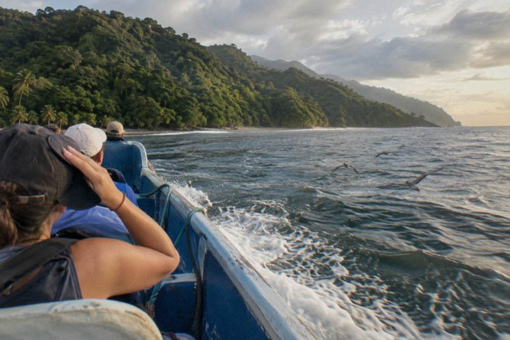 A small boat with passengers cruising along a coastline of green rainforest hills