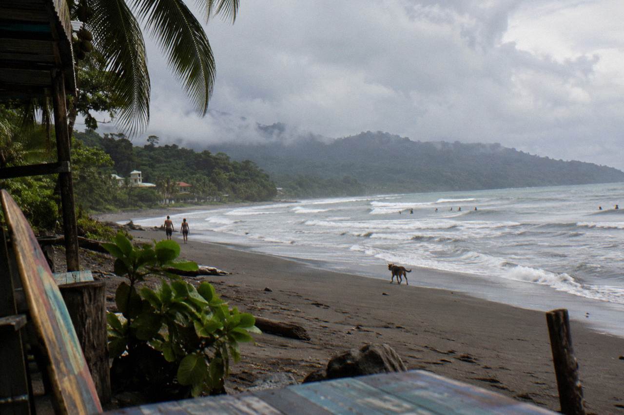 Waves breaking along a wide dark sand beach with forested hills behind