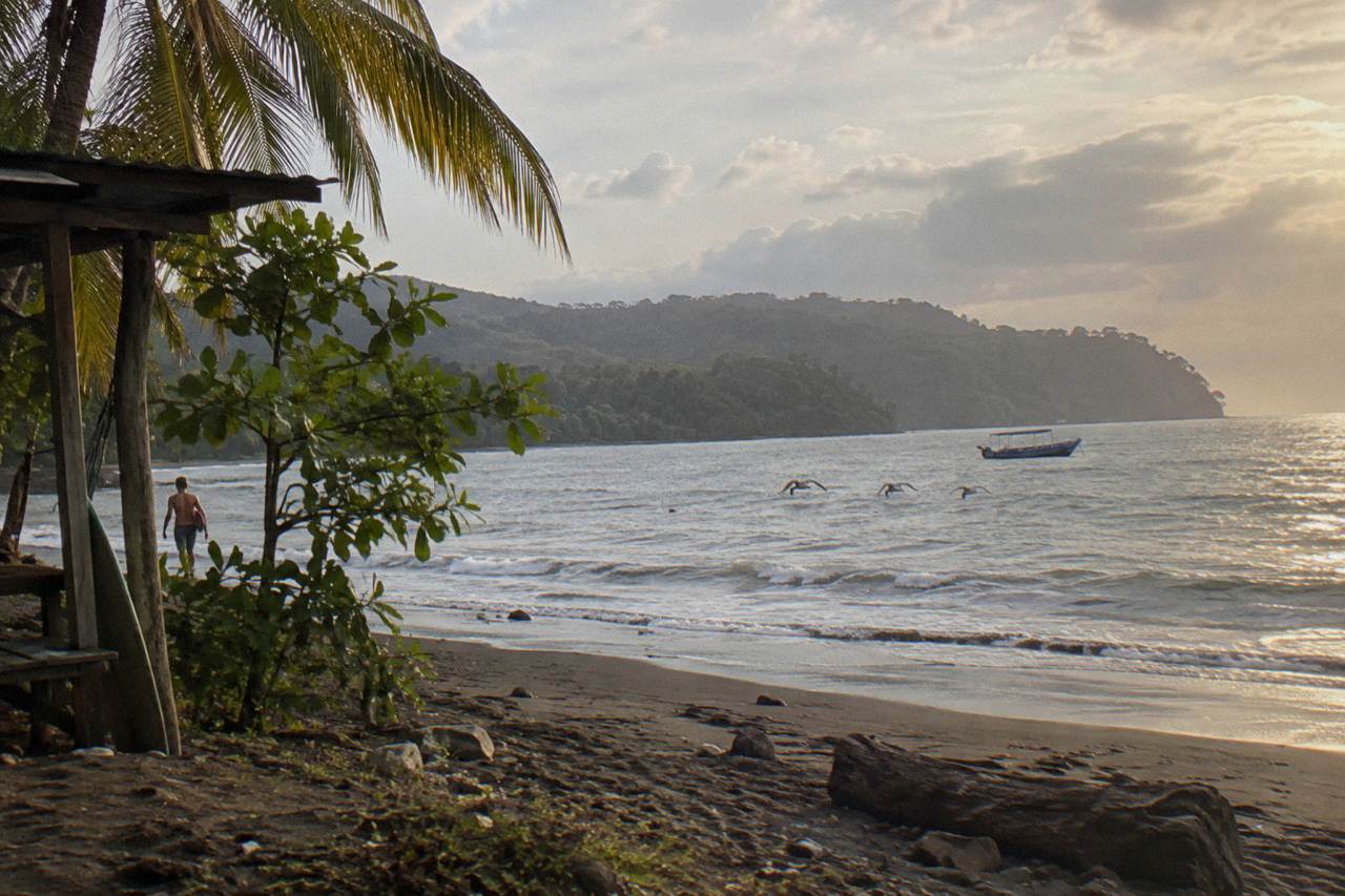 Calm tropical bay with a forested peninsula and low rainforest hills meeting the sea