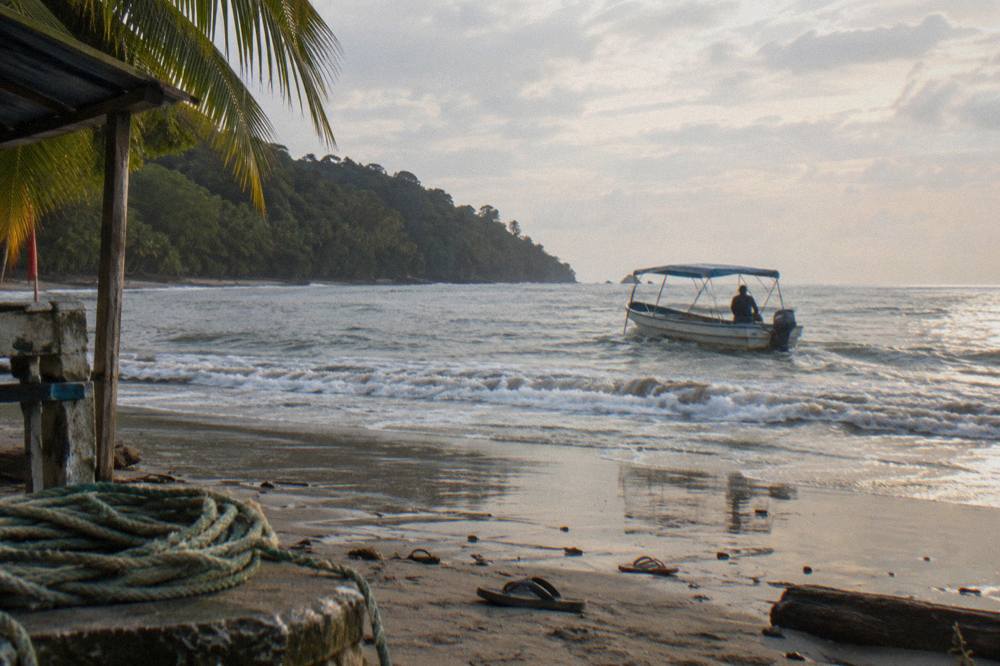 Small tour boat cruising along a wooded coastline in calm morning light