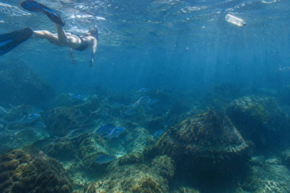 Snorkeler floating over a coral reef with schools of tropical fish in clear water