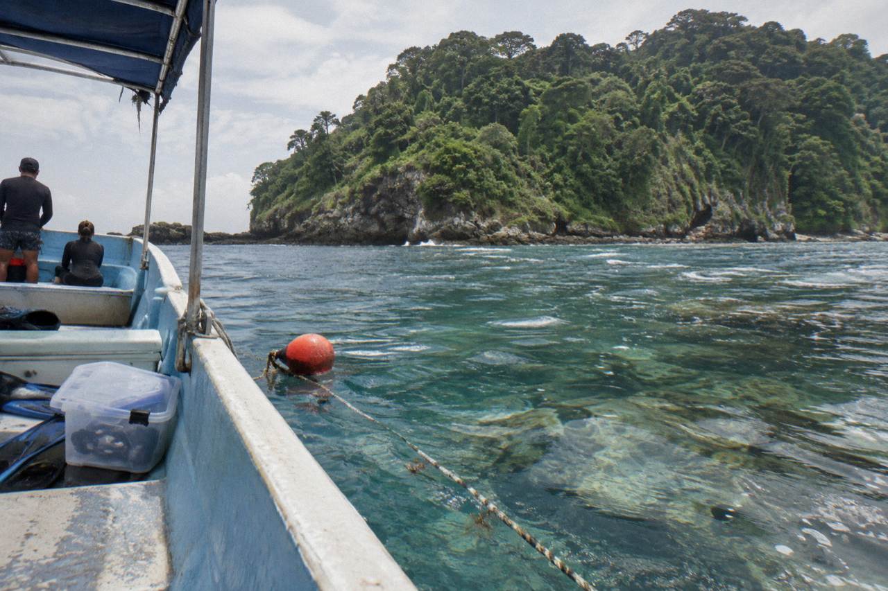 Snorkel boat anchored over a coral reef near a forested island on a calm Pacific morning