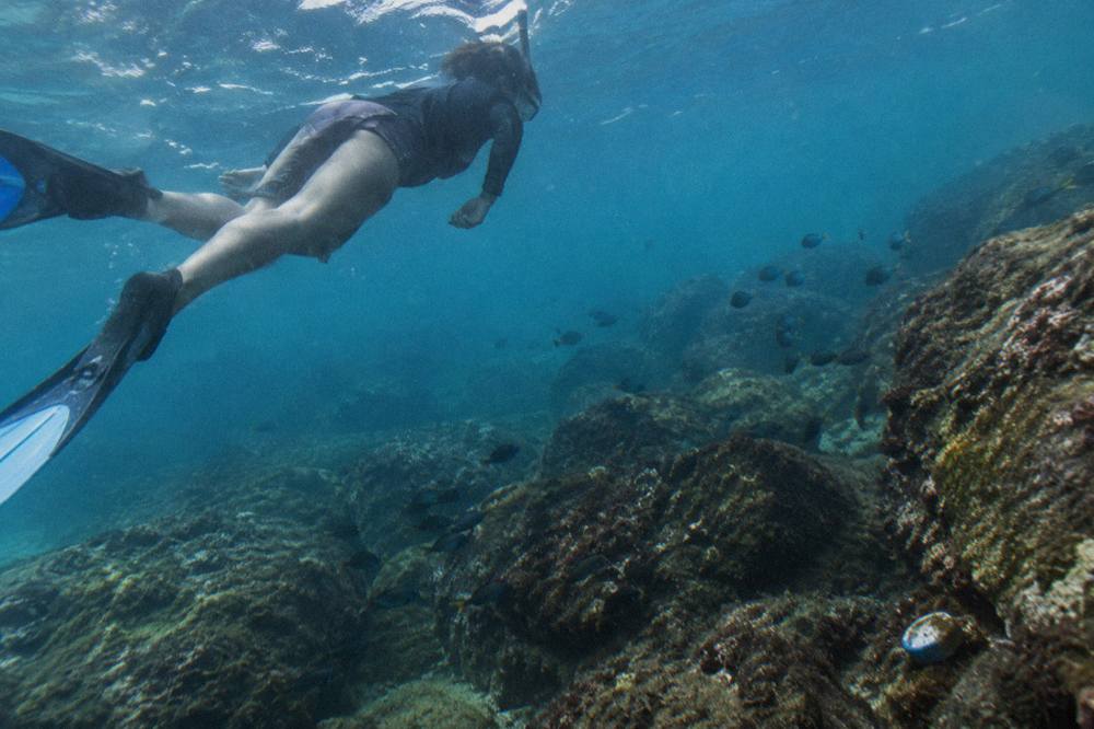 Snorkeler floating over a rocky reef with schools of small fish in clear blue water