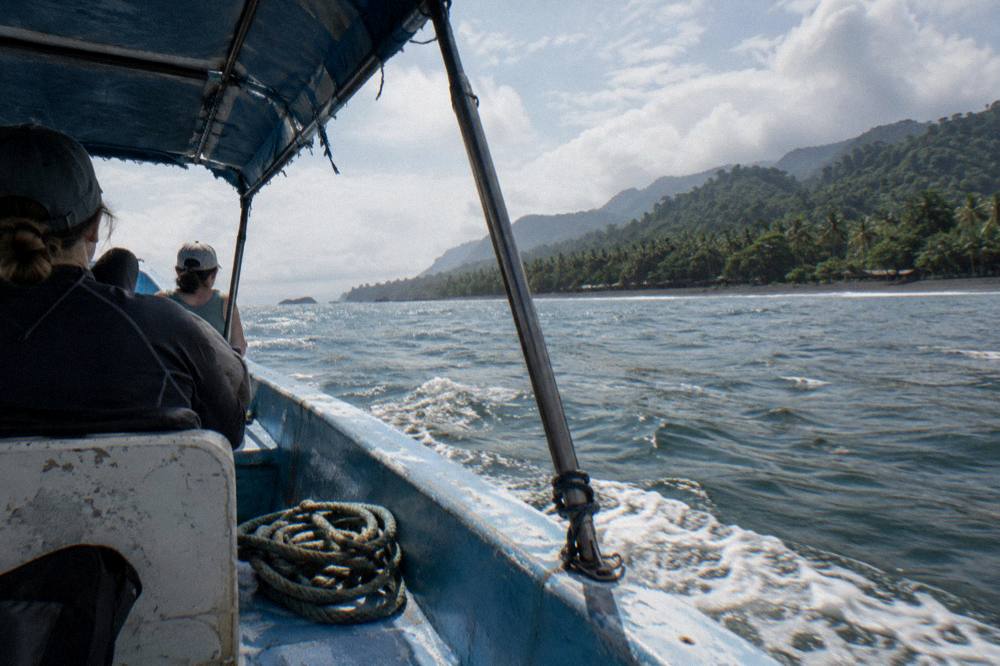 Whale-watching boat cruising along a green palm-lined coast under scattered clouds