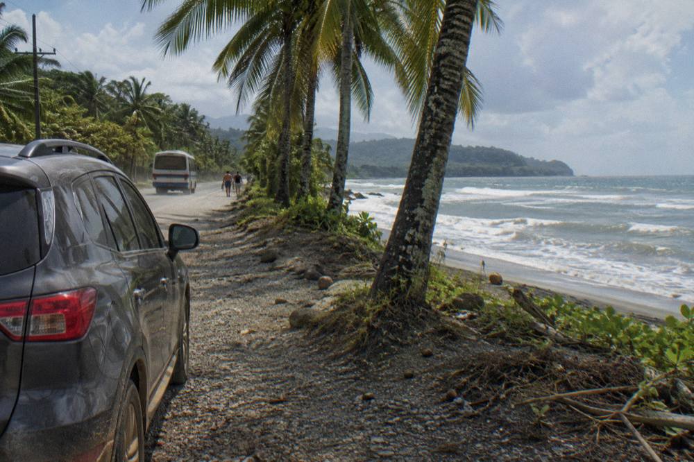 A compact rental SUV parked on a gravel shoulder with palm trees and the ocean in the background