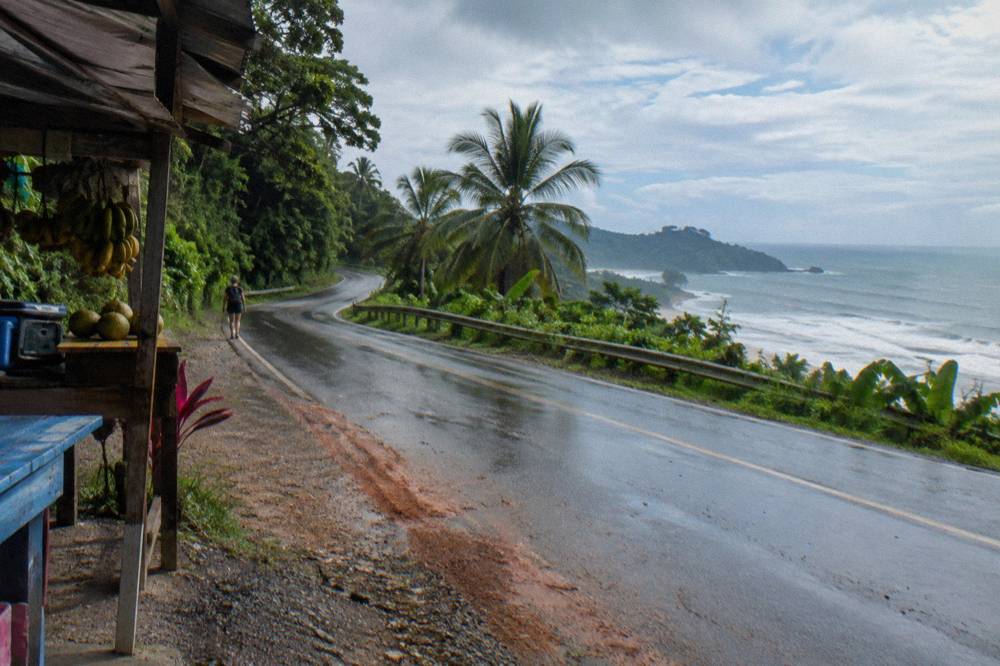 A paved coastal highway curving along green hills with the ocean beyond