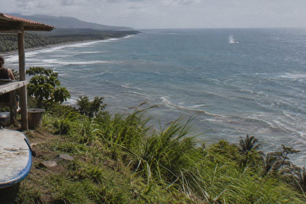 Wide ocean horizon seen from a grassy headland above a bay