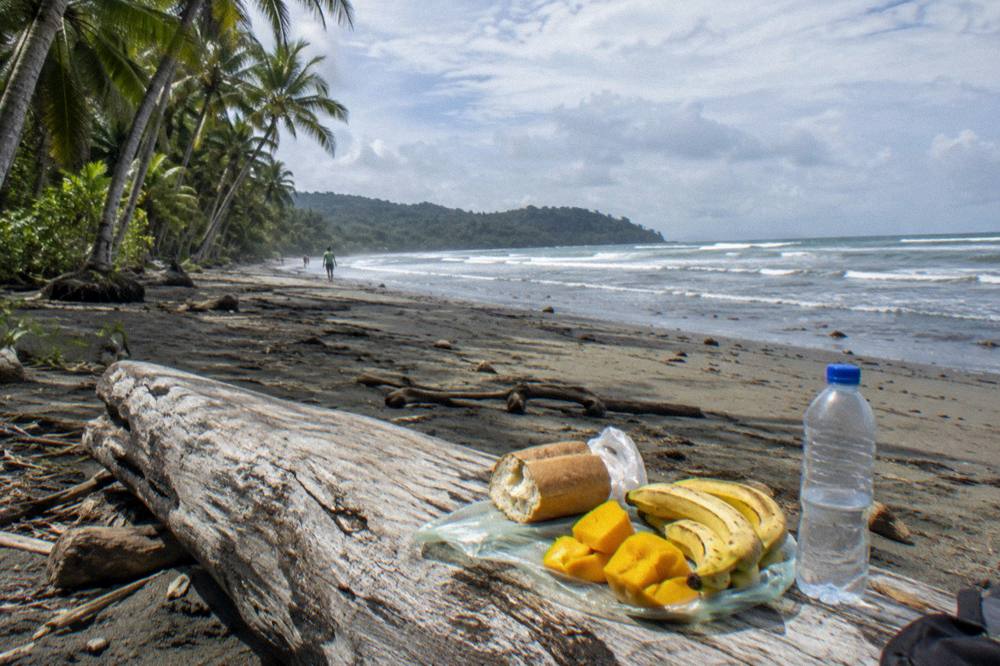 Simple picnic of fruit and bread on a driftwood log above the sand