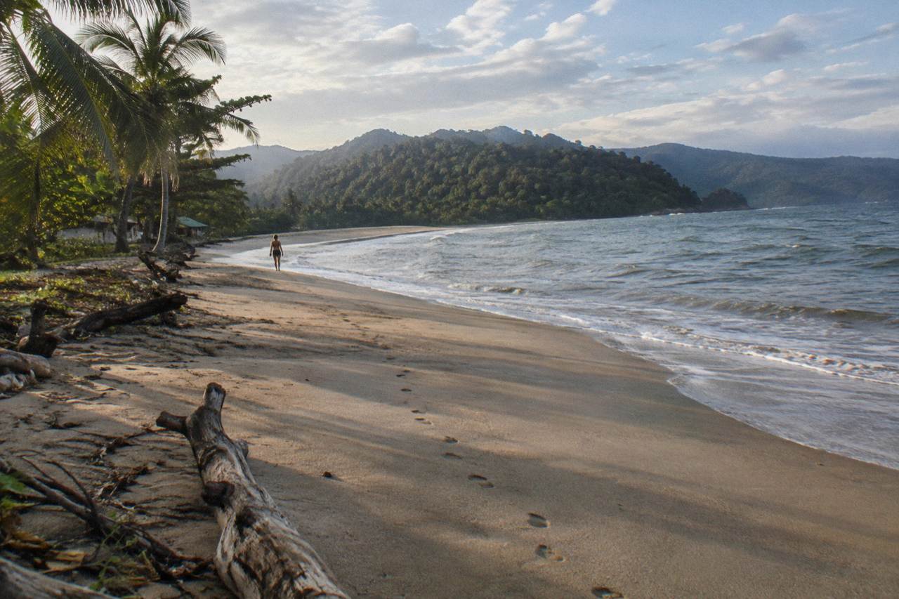 Empty sandbar curving into a calm Pacific bay with forested hills behind