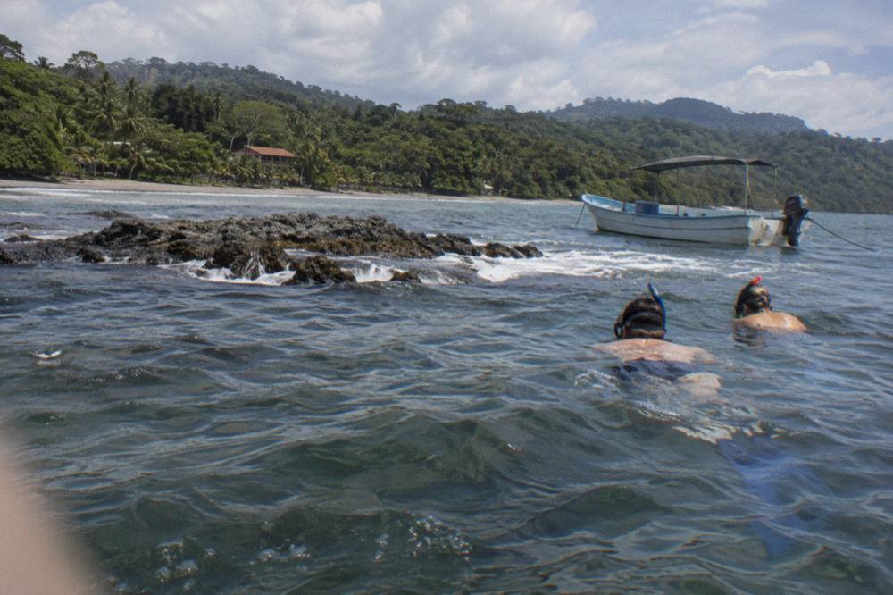 Snorkelers in clear water above a rocky reef