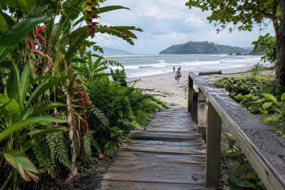 Wooden walkway through trees leading toward a sandy beach