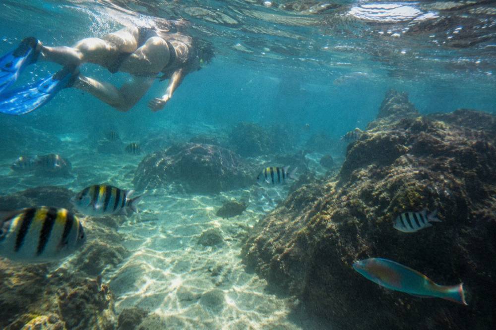 Snorkeler floating over a rocky reef with tropical fish in clear blue water