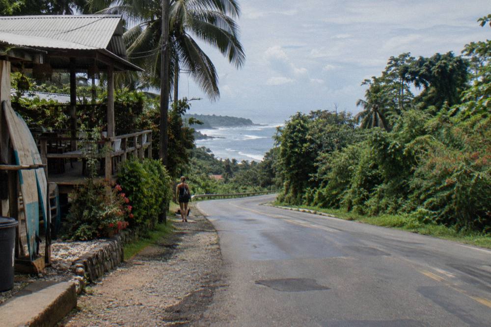 A paved coastal road winding through green forested hills with ocean in the distance