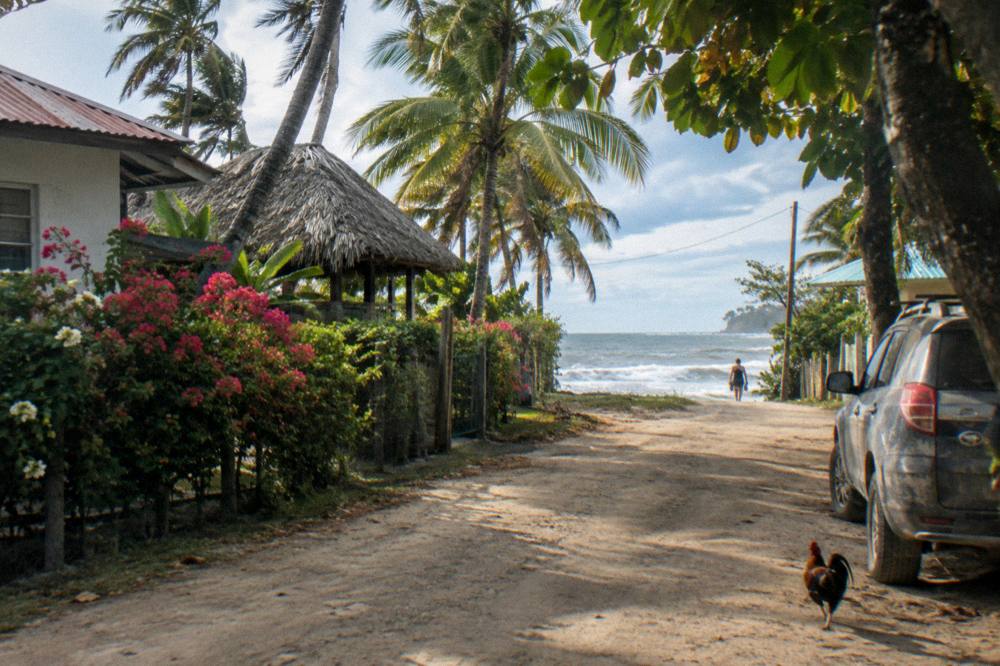 A small beach town road lined with palm trees near the ocean