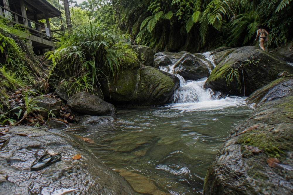 Jungle stream spilling over mossy rocks into a clear pool