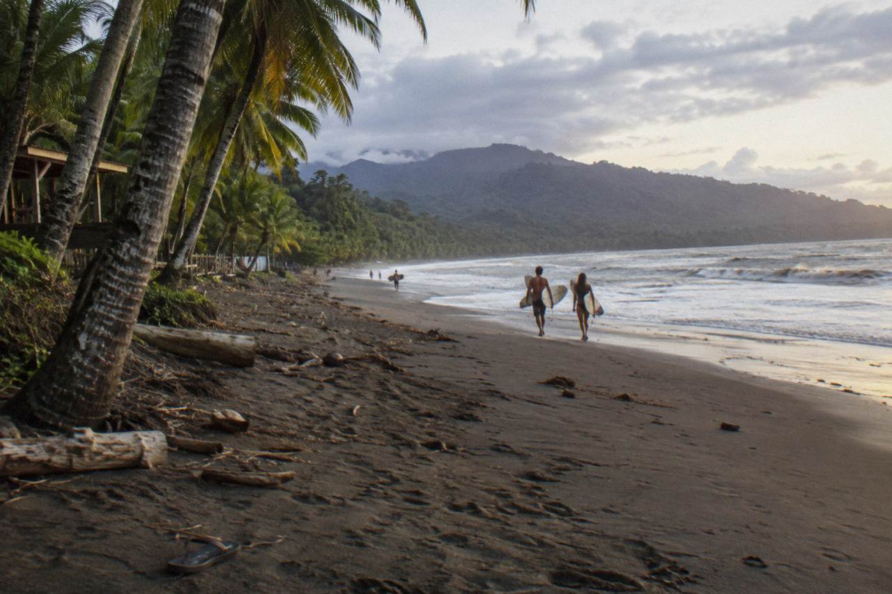 Palm trees and dark sand along a curved Pacific beach with forested hills behind