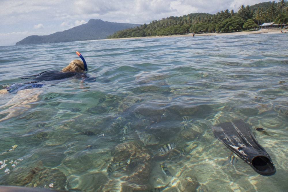 Snorkeler floating over a shallow coral reef with small tropical fish in clear sunlit water