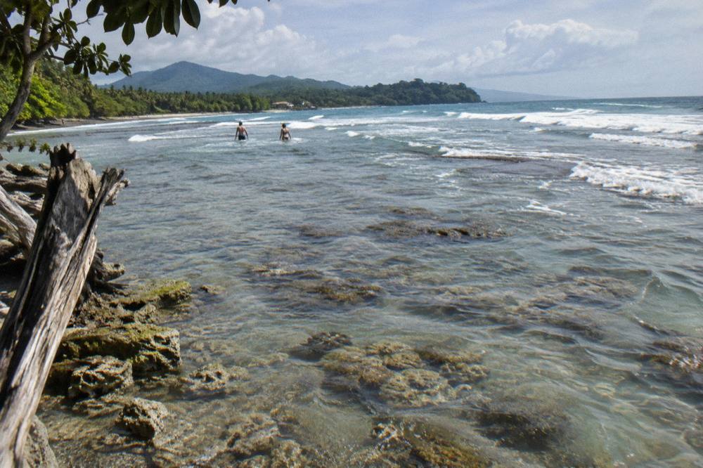 Coral reef in shallow sunlit water near a sandbar with gentle waves beyond