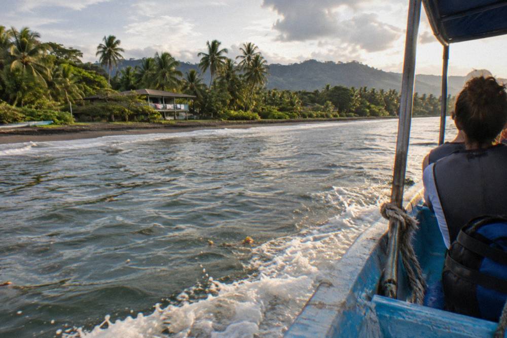A small open tour boat cruising along a palm-lined Pacific beach