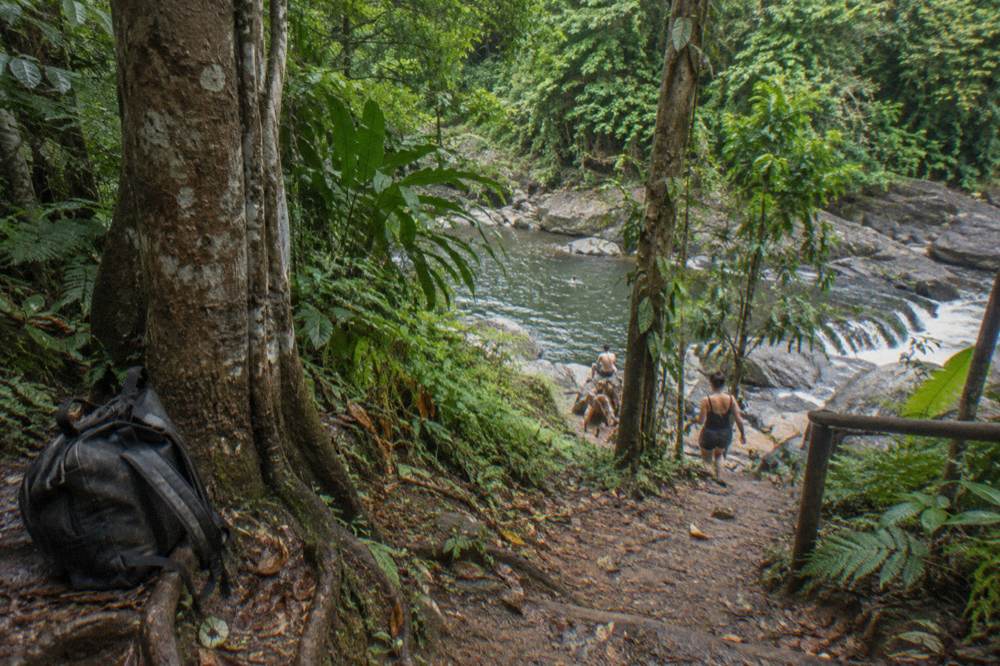 A forest trail descending through tall trees toward a rocky swimming hole