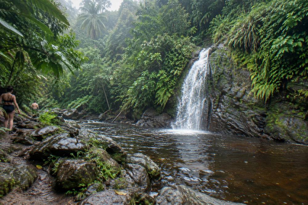 A waterfall dropping into a dark pool at the edge of dense rainforest