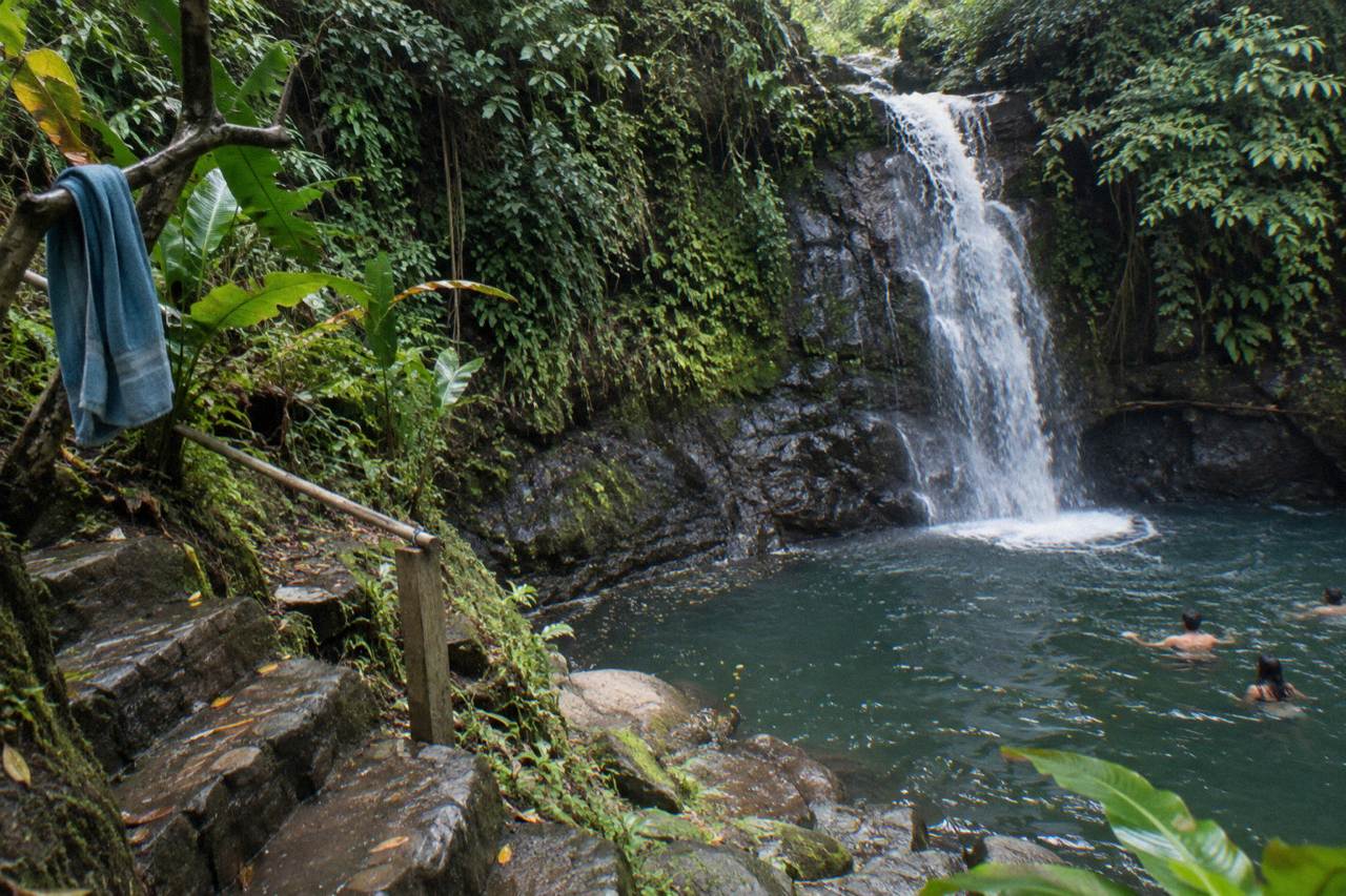 A jungle waterfall pouring into a clear pool surrounded by dense green rainforest