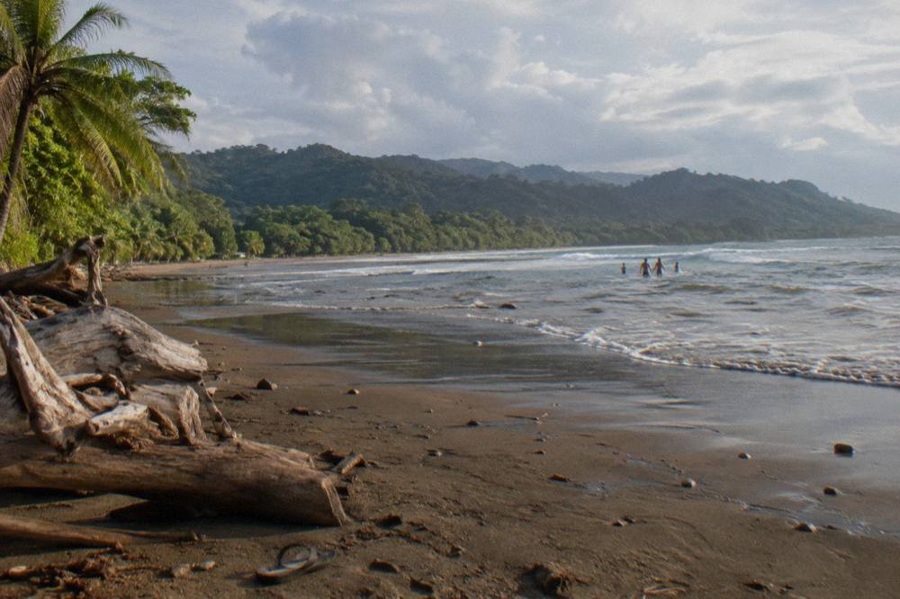 A calm Pacific bay with forested hills behind a wide sand beach