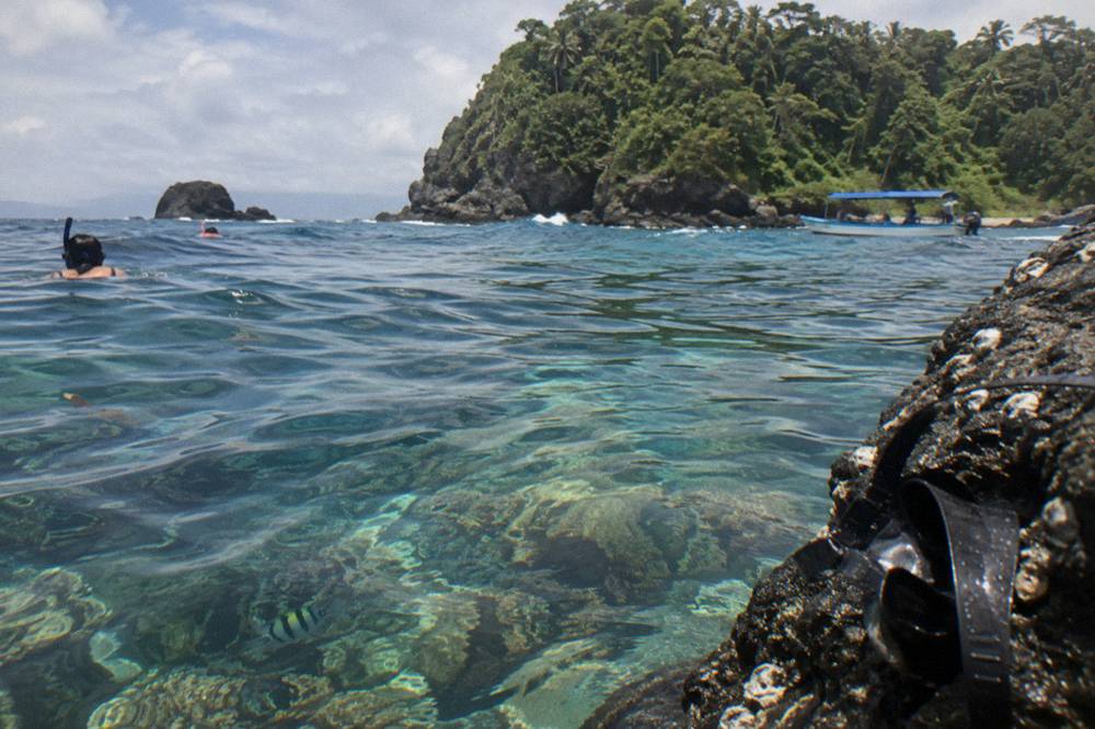 Clear turquoise shallows over a rocky reef near a forested shoreline