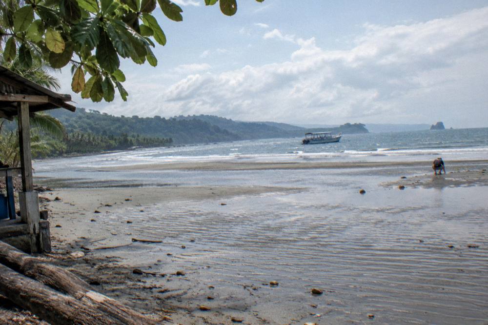 A tour boat at anchor near a sandbar at low tide under a bright morning sky
