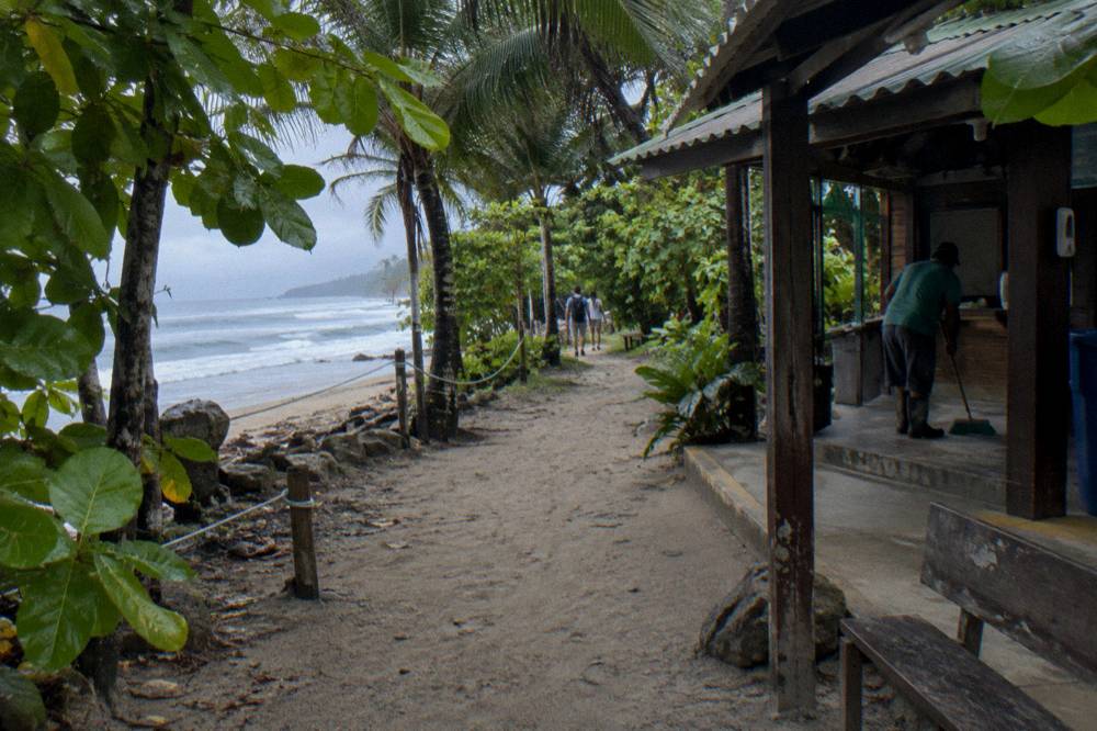 A park entrance path with palm trees and a wooden sign in morning shade